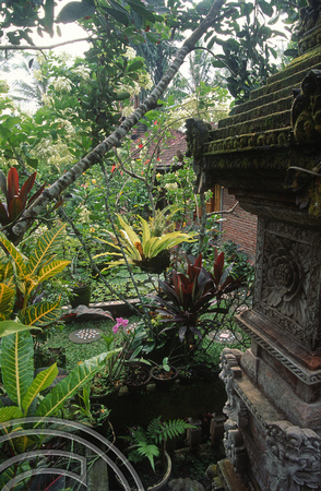 Ketut's garden. Ubud. Bali. RT0002.