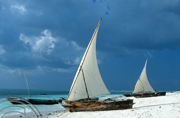 T11229. Dhows on the beach. Nungwi. Zanzibar. Tanzania. Africa. 30.05.01