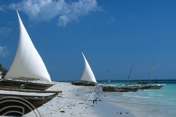 T11255. Dhows on the beach. Nungwi. Zanzibar. Tanzania. Africa. 31.05.01