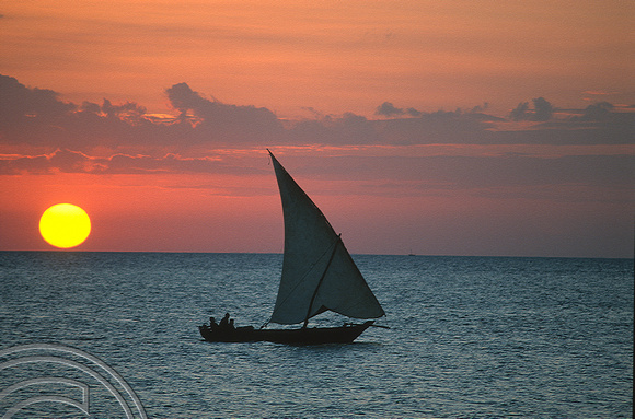 T11246. Dhow at sunset. Nungwi. Zanzibar. Tanzania. Africa. 31.05.01
