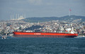 DG394040. Bulk carrier Gulf Trader. IMO 9218844. 39709. Gross tonnes. Built 2002. Istanbul. Turkey. 7.5.2023.