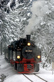 FDG05128. 99 5901. Drei Annan Hohne. Harz railway. Germany. 10.2.07
