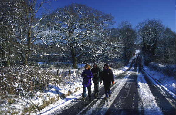 T10351. Walking in the snow. Bayford. Hertfordshire. England. 29.12.2000