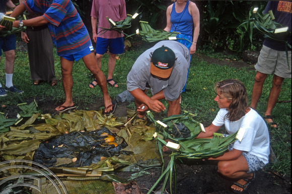 T9150. Removing the food from the fire pit. Rarotonga. Cook Islands. March 1999