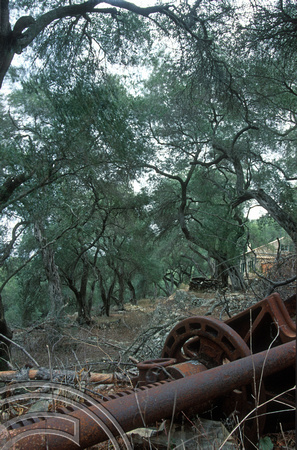 T10230. Rusting olive press under the trees. Paxos. Ionian Isles. Greece. 1st October2000