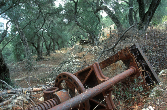 T10231. Rusting olive press under the trees. Paxos. Ionian Isles. Greece. 1st October2000