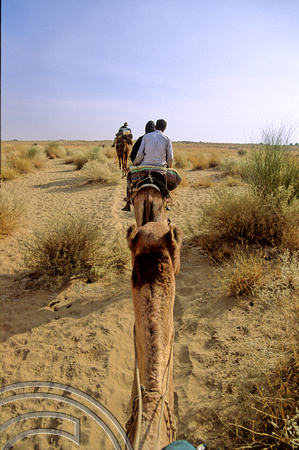 T04360. Thar desert. Rajasthan. India. 1993.