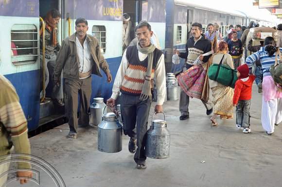 DG70227. Collecting milk churns. Lucknow. India. 15.12.10.