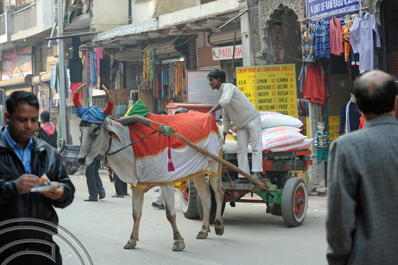 DG69568. Colourful transport. Delhi. India. 7.12.10.