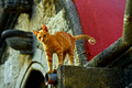 DG383168. Cat in the Medieval city. Rhodes. Greece. 19.10.2022.