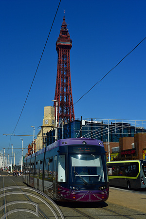 DG376602. Tram 008. The promenade. Blackpool. 11.8.2022.