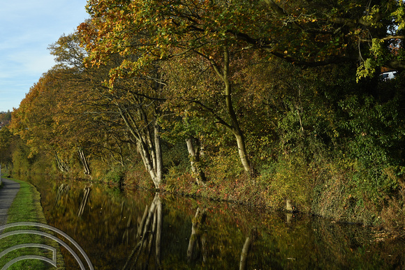DG259510. Autumn sunlight. Calder and Hebble Navigation. Sowerby Bridge. 31.10.16