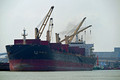 DG439205. Bulk carrier. Xin Hai Jia. Built 2008. 32,597 gross tonnes. Butterworth. Malaysia. 14.2.2025.