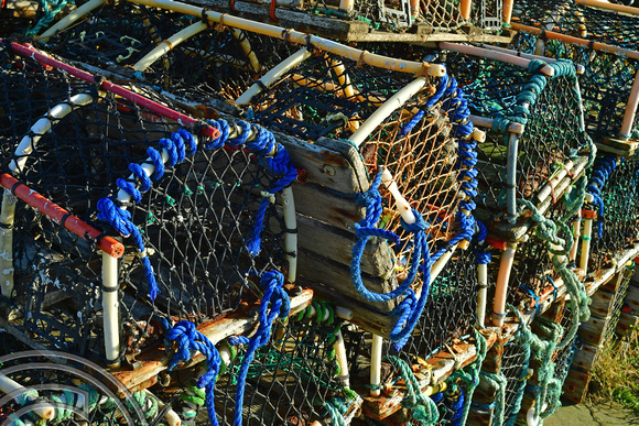 DG383847. Lobster pots on the harbour. Whitby. North Yorkshire. 13.11.2022.