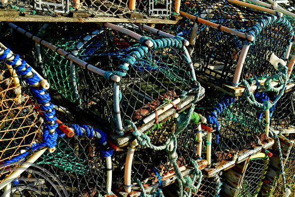 DG383851. Lobster pots on the harbour. Whitby. North Yorkshire. 13.11.2022.