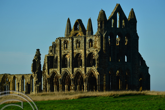 DG383899. The Abbey. Whitby. North Yorkshire. 13.11.2022.