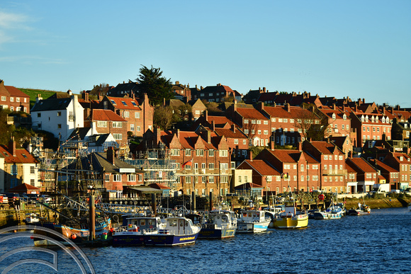 DG383769. View over the town. Whitby. North Yorkshire. 11.11.2022.