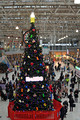 DG385584. Christmas tree. Waterloo. 9.12.2022.