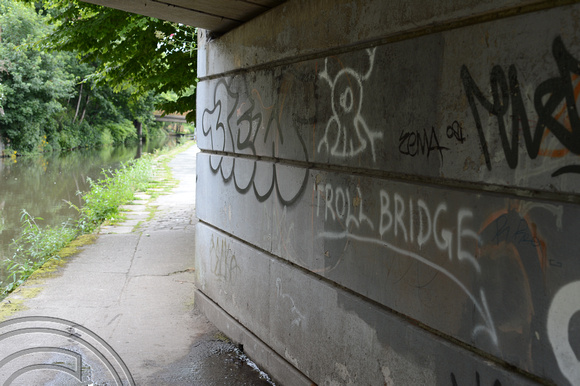 DG218073. Troll bridge. Sowerby Bridge. 23.7.15