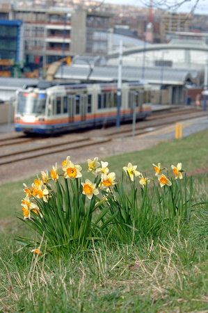 DG15278. Spring tram. Sheffield station. 27.3.08.