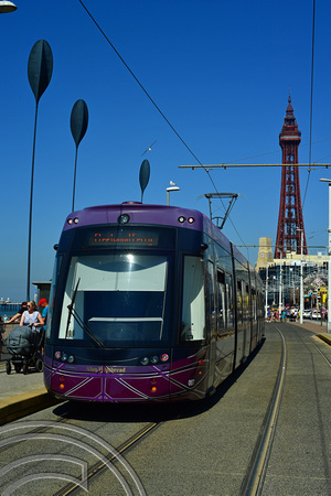 DG376584. Tram 007. The promenade. Blackpool. 11.8.2022.