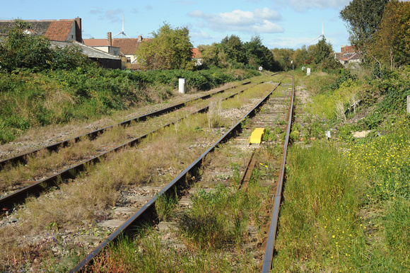 DG19114. Overgrown track. Avonmouth. 3.10.08.
