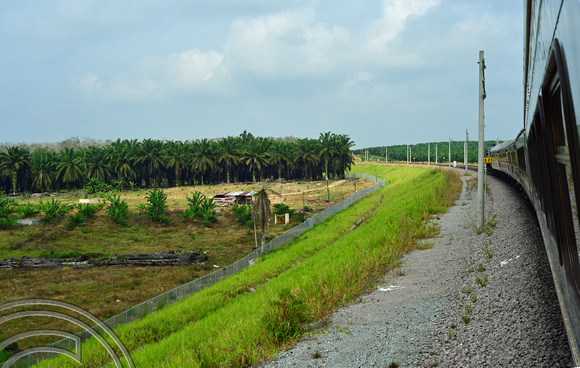 DG386717. Palm oil plantations by the tracks. Kluang. Malaysia. 15.1.2023.