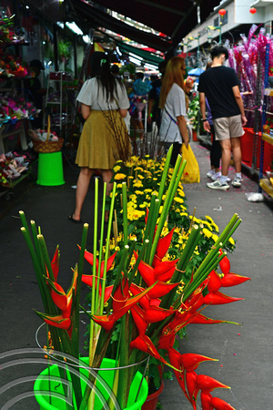 DG387360. Flower shop. Jalan Hang Lekir. Kuala Lumpur. Malaysia. 19.1.2023.