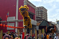 DG387864. Lion dancers flicking Oranges. Guan Di temple. Kuala Lumpur. Malaysia. 23.1.2023.