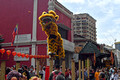 DG387864. Lion dancers flicking Oranges. Guan Di temple. Kuala Lumpur. Malaysia. 23.1.2023.crop