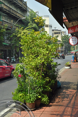 DG388515. Green shield. Rama IV road. Bangkok. Thailand. 1.2.2023.
