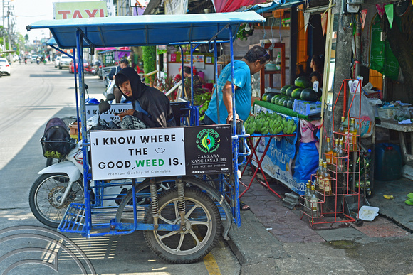 DG388846. Where's the dope. Kanchaburi. Thailand. 7.2.2023.