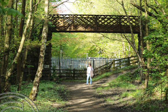 DG51683. Rishworth branch. Old footbridge. 15.5.10.