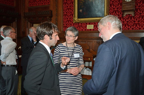 DG146163. DDRf reception at the House of Commons. 15.4.13.
