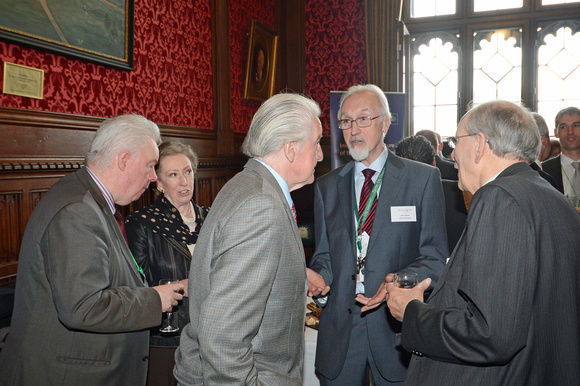 DG146128. DDRf reception at the House of Commons. 15.4.13.