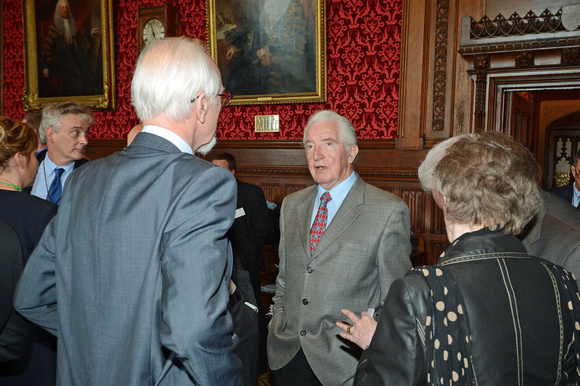 DG146126. DDRf reception at the House of Commons. 15.4.13.