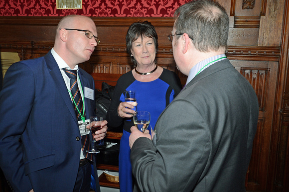 DG146060. DDRf reception at the House of Commons. 15.4.13.