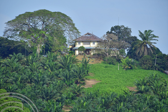 DG390431. House on a plantation. Paloh. Johor state. Malaysia. 7.3.2023.