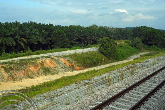 DG390469. Old rail  formation South of Paloh. Johor state. Malaysia. 7.3.2023.  (1)