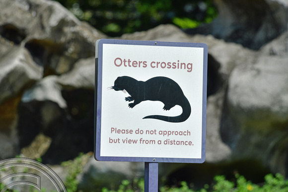DG390673. Otter warning. Supertree Grove. Gardens by the Bay. Singapore. 9.3.2023.