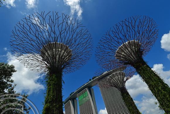 DG390690. Supertree Grove. Gardens by the Bay. Singapore. 9.3.2023.