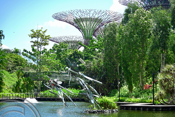 DG390703. Dragonfly sculpture. Gardens by the Bay. Singapore. 9.3.2023.