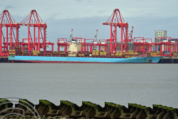 DG391071. Container ship MSC Bremerhaven. 48788 gross tonnes. Built 2007. Seaforth. Liverpool. 21.3.2023.