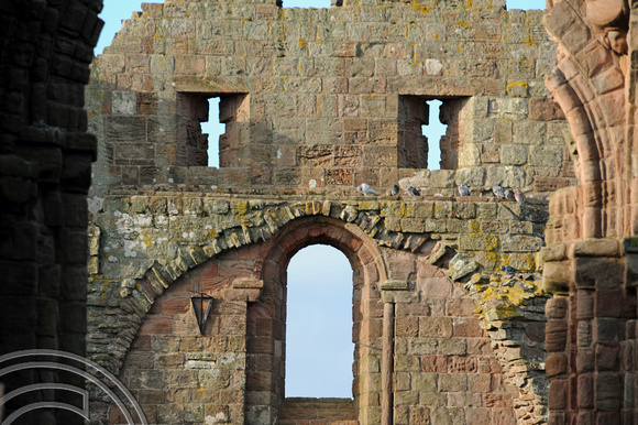 TD03172.  Lindisfarne Priory. Northumberland. 12.11.08.