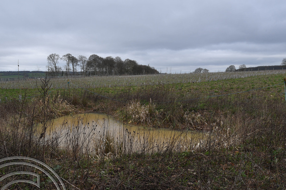 DG392120. New HS2 woodland and ponds adjacent Jones' Hill Wood. Great Missenden. Buckinghamshire. 1.4.2023.