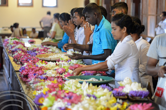 DG237603. Offering prayers and flowers.Temple of the tooth. Kandy. Sri Lanka. 13.1.16.