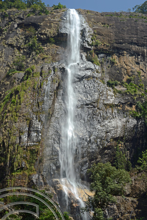 DG238268. Diyaluma falls. Sri Lanka. 19.1.16.JPG