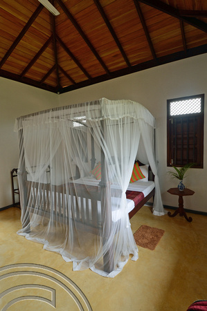 DG238635. Our room. Mangrove Villa. Unawatuna. Sri Lanka. 29.1.16