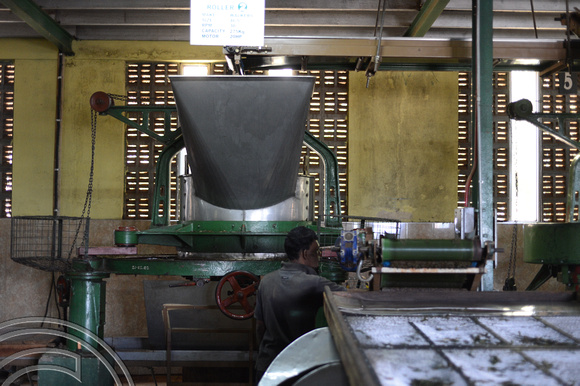 DG237727. Shredding tea leaves. Glenloch tea factory. Katukithula. Sri Lanka. 15.1.16.