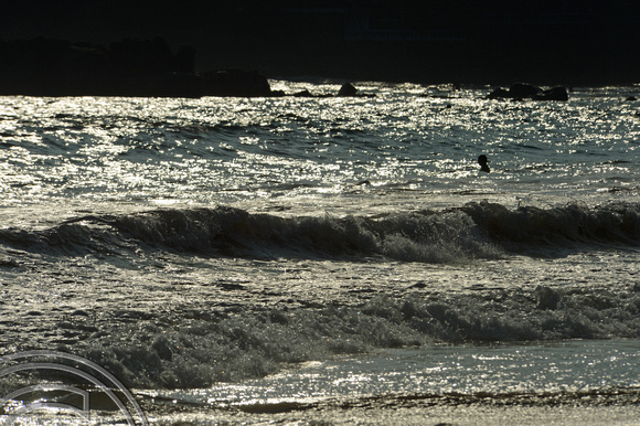 DG238487. Playing in the  waves. The long beach. Mirissa. Sri Lanka. 28.1.16
